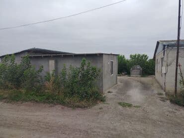 Ferma təsərrüfatı üçün hazır obyekt - Geniş torpaq sahəsi və açıq lalafo.az -da — 4 Ferma təsərrüfatı üçün hazır obyekt - Geniş torpaq sahəsi və açıq — 4